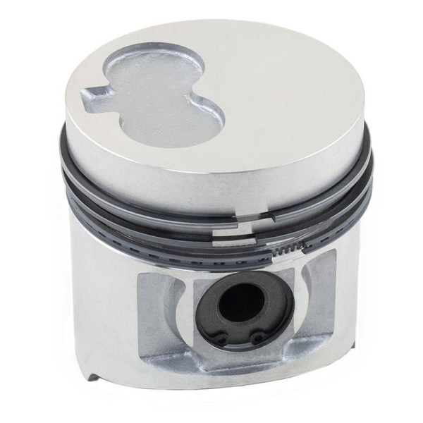 Piston & Rings