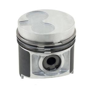 Piston & Rings