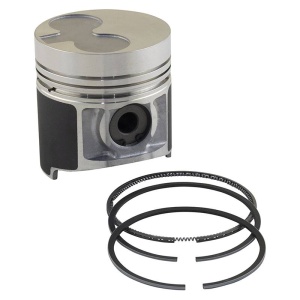 Piston & Rings