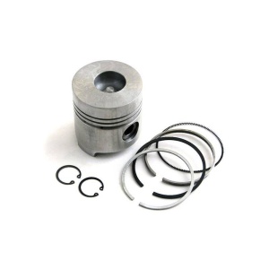Piston & Rings