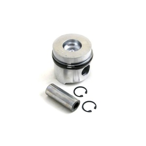 Piston & Rings