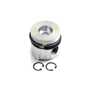 Piston & Rings