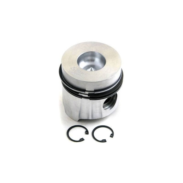 Piston & Rings