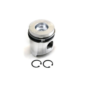 Piston & Rings