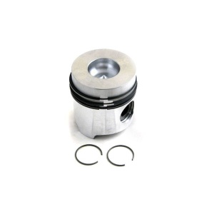 Piston & Rings