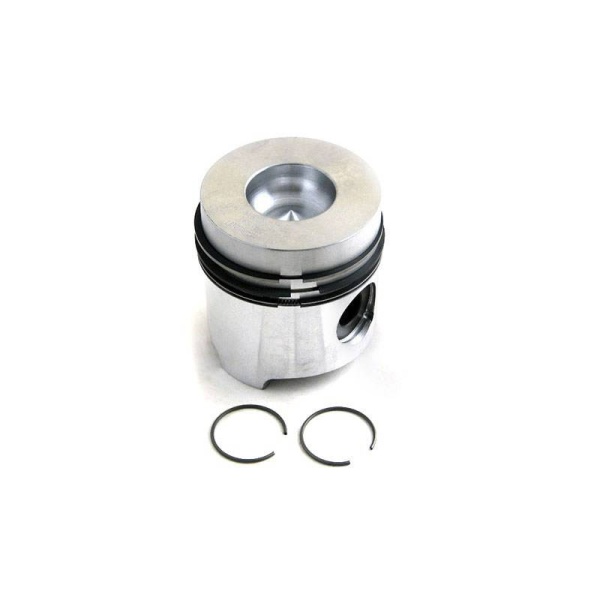 Piston & Rings