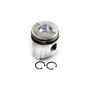 Piston & Rings