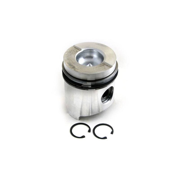 Piston & Rings