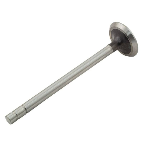 Exhaust Valve