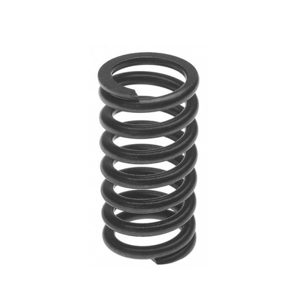 Valve Spring