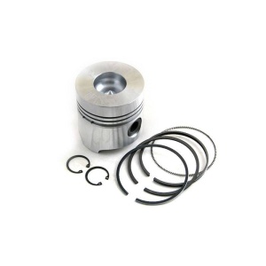 Piston & Rings