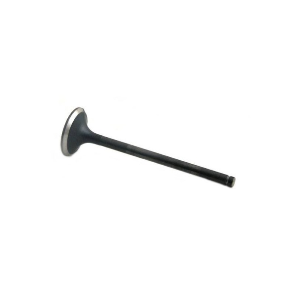 Exhaust Valve