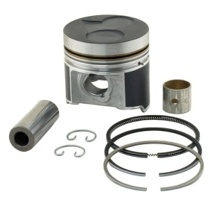 Piston & Rings