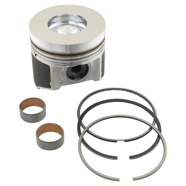 Piston & Rings