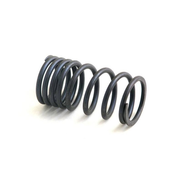 Valve Spring