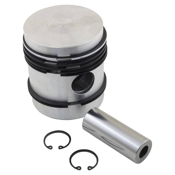 Piston & Rings