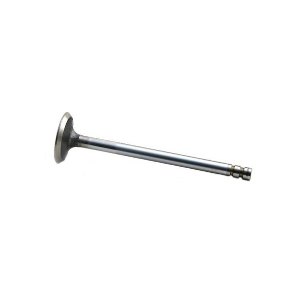 Intake Valve