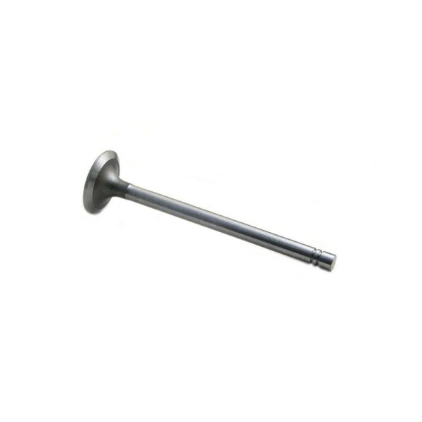 Intake Valve