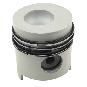 Piston & Rings