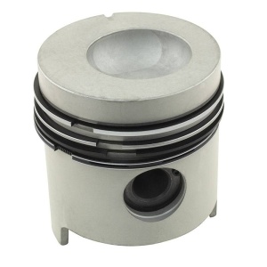 Piston & Rings