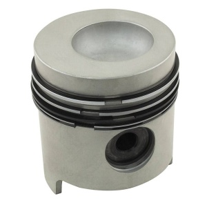 Piston & Rings