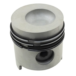 Piston & Rings