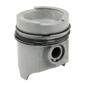 Piston & Rings
