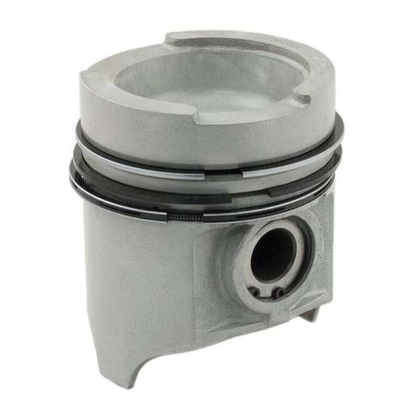 Piston & Rings
