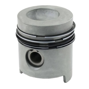 Piston & Rings
