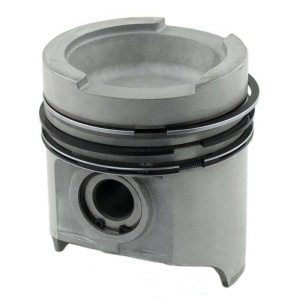 Piston & Rings
