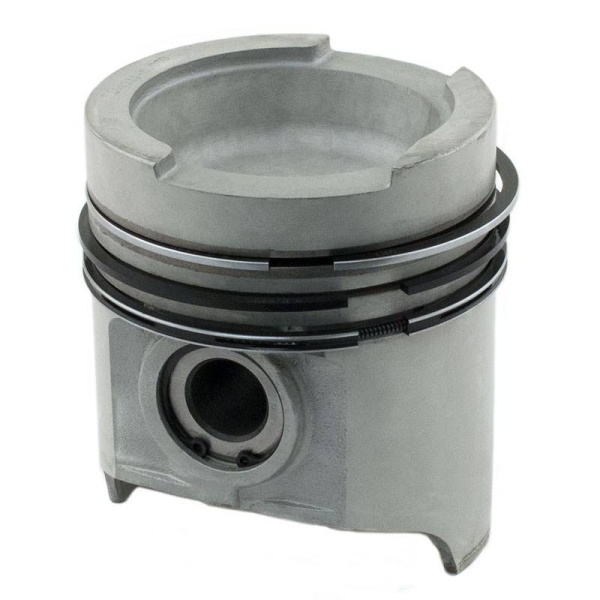 Piston & Rings