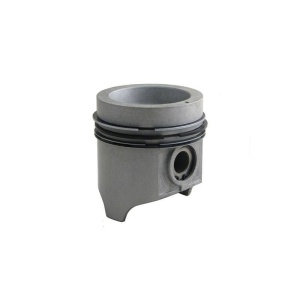 Piston & Rings