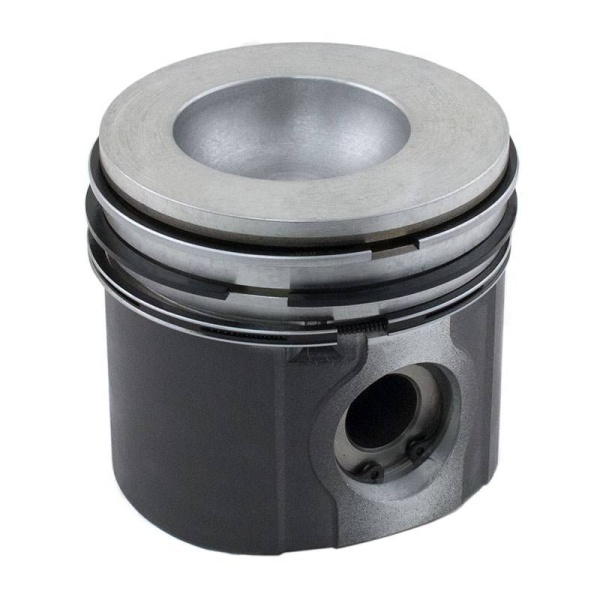 Piston & Rings