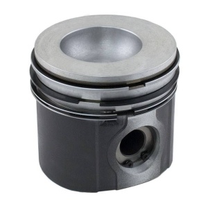 Piston & Rings