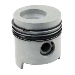 Piston & Rings