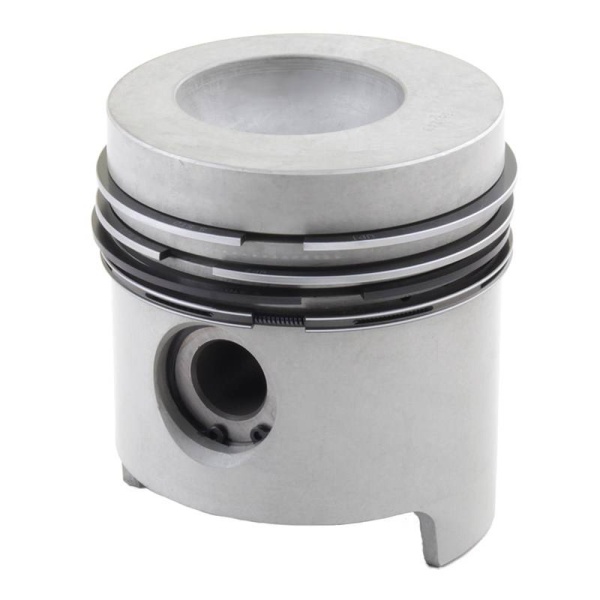 Piston & Rings