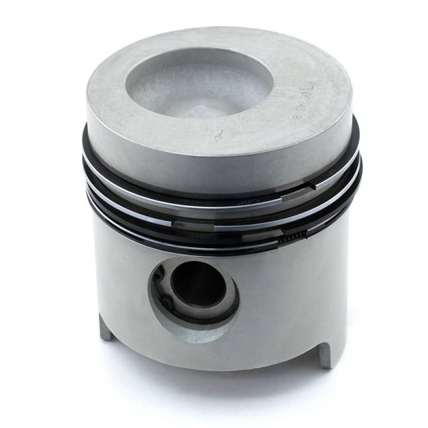 Piston & Rings