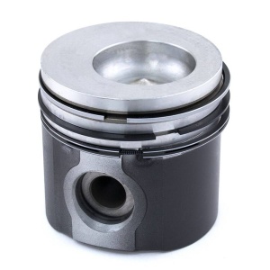 Piston & Rings
