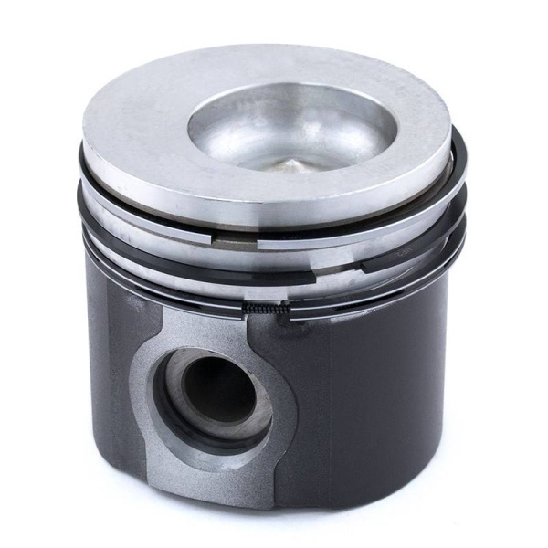 Piston & Rings