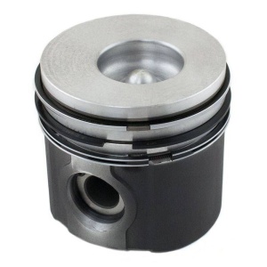 Piston & Rings