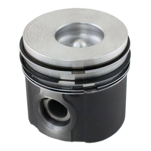 Piston & Rings