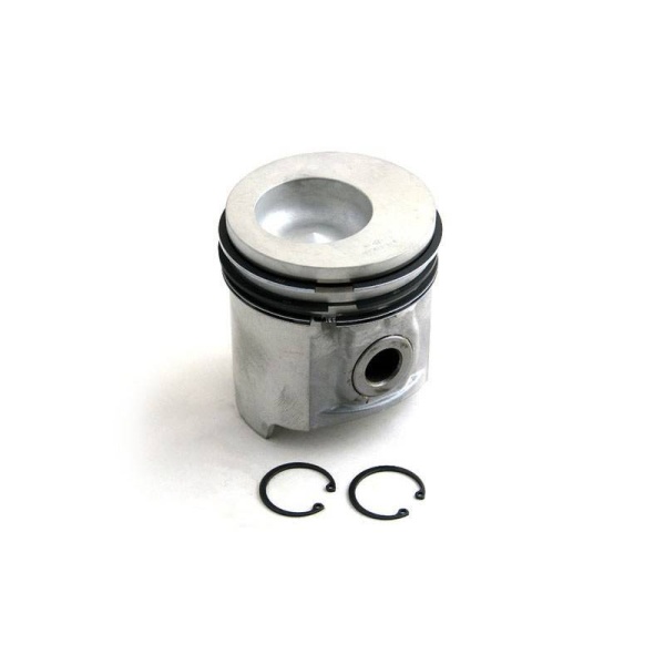Piston & Rings