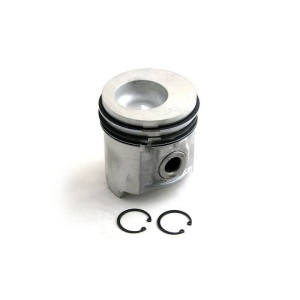 Piston & Rings - .040"