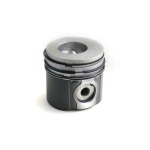Piston & Rings