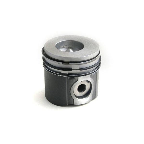 Piston & Rings
