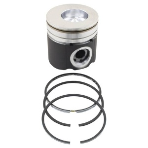 Piston & Rings