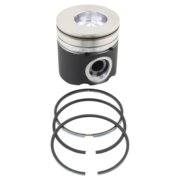 Piston & Rings