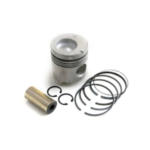 Piston & Rings