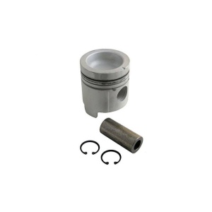 Piston & Rings