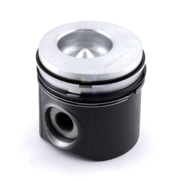 Piston & Rings